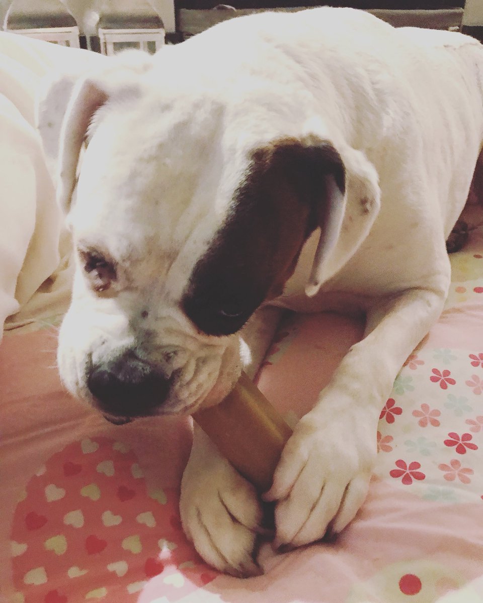 LisaDymock tweet media