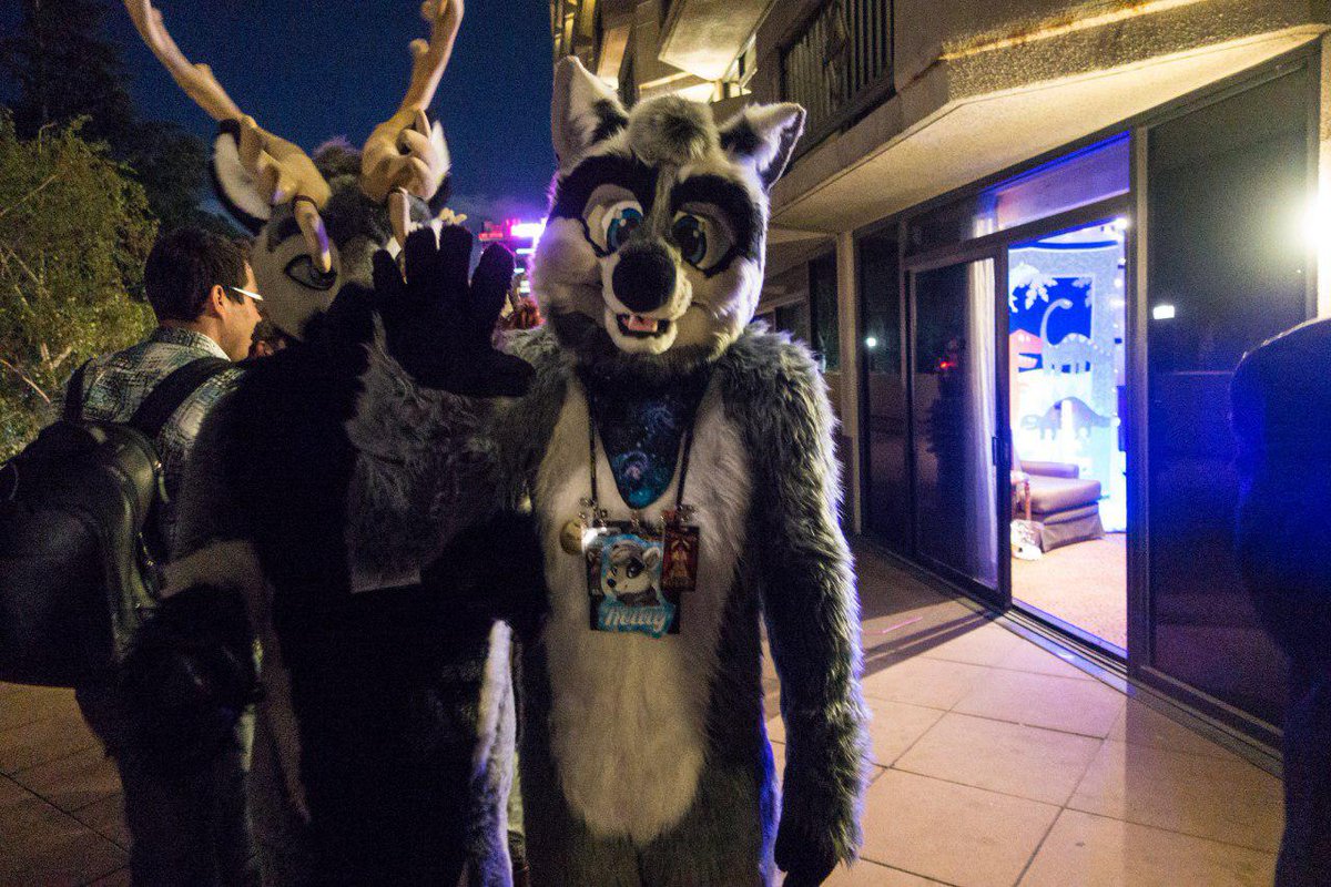 Relay Raccoon tweet media