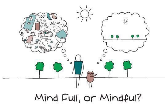 Kate_Dawson21's tweet photo. @Coach_Goncalves Great message today! #Mindfulness #CasePD https://t.co/qV4aHiQmSd