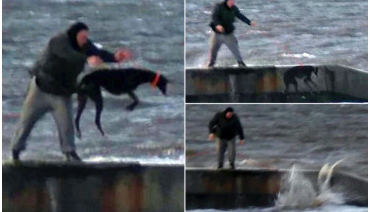 Leemountjoy's tweet image. Have we found this man yet? @RSPCA_official 

If you have any information which could help the investigation, contact 0300 1234 999