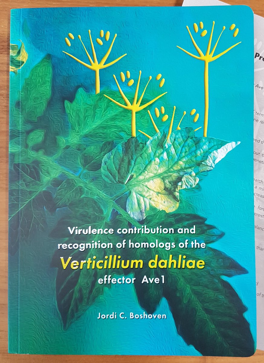 Team_Thomma's tweet photo. Today's PhD defense completed a 2017 quartet of #WU_PHYTO @WUR #Verticillium PhD theses by @jcboshoven @yinesung  @rovenich @mojtaba93201224 https://t.co/adb8OeqcVq