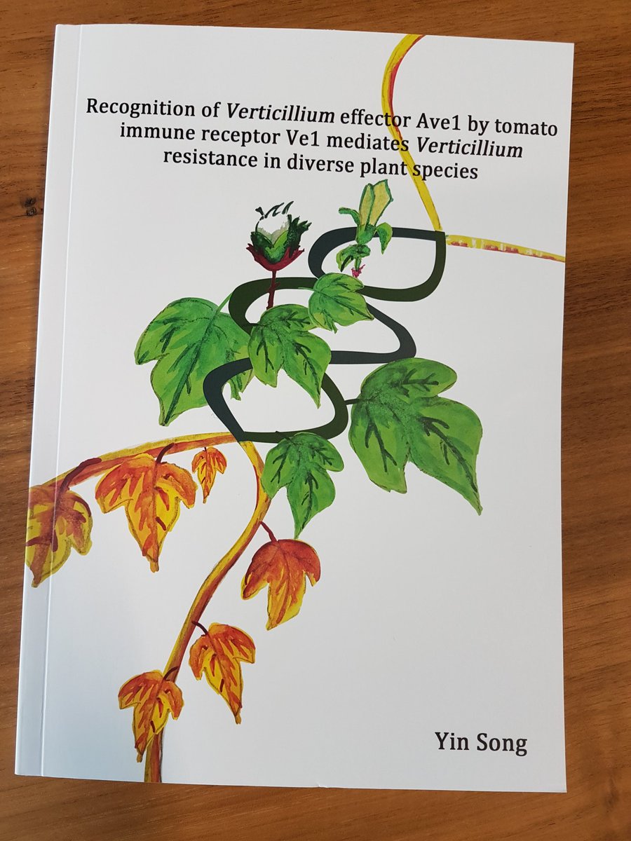 Team_Thomma's tweet photo. Today's PhD defense completed a 2017 quartet of #WU_PHYTO @WUR #Verticillium PhD theses by @jcboshoven @yinesung  @rovenich @mojtaba93201224 https://t.co/adb8OeqcVq