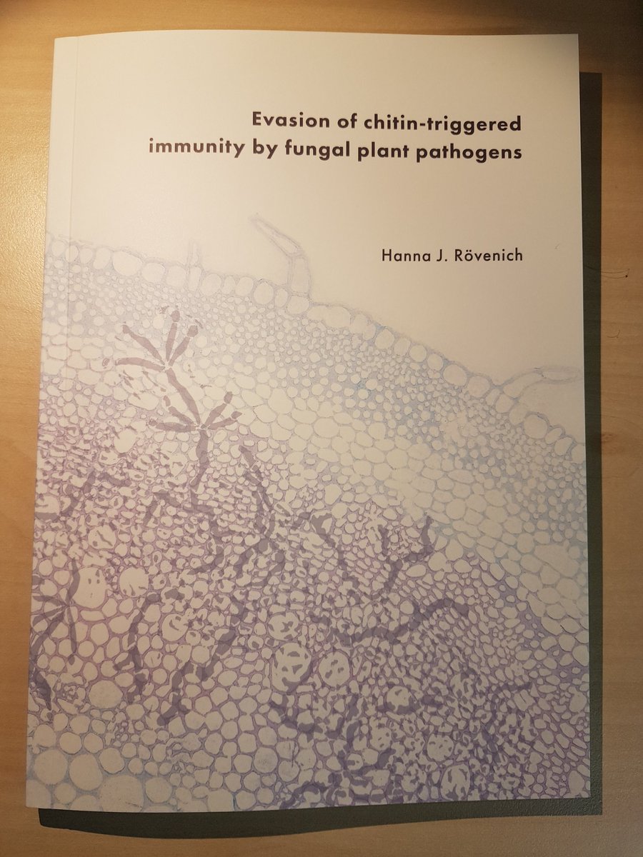 Team_Thomma's tweet photo. Today's PhD defense completed a 2017 quartet of #WU_PHYTO @WUR #Verticillium PhD theses by @jcboshoven @yinesung  @rovenich @mojtaba93201224 https://t.co/adb8OeqcVq