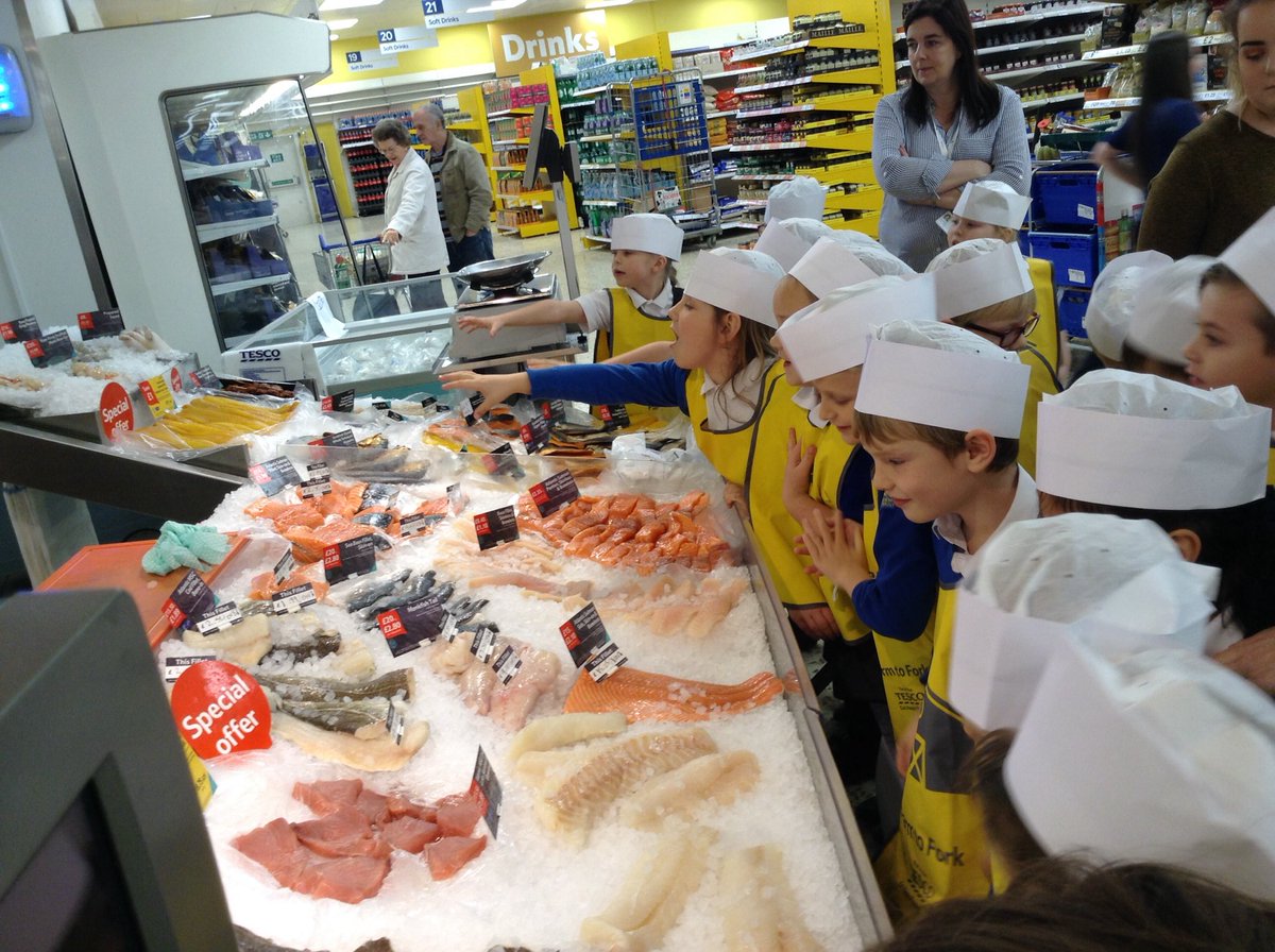 EgaTeachers's tweet photo. Pupils learning about food and where it comes from before hitting the shelves @Tesco Hartlepool #FarmtoFork https://t.co/UDgJsLR2HZ