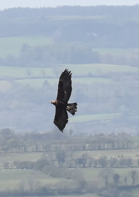 TWMSTREKS tweet media