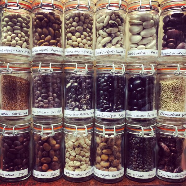 Hodmedods's tweet photo. Come and work for us! We need help in our warehouse processing and packing orders for 3 days a week (Monday to Wednesday).  Please email Joe joe@hodmedods.co.uk for more details and to apply - we'll be accepting applications until Friday 17th November. https://t.co/iVk4Hk7z2d