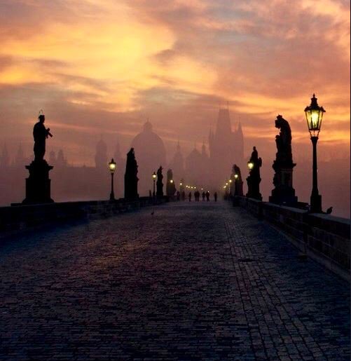 Visit_Czechia's tweet photo. Charles Bridge and towers of Old Town, Prague, Czechia 🇨🇿#travel #explore #Prague #Czechia #VisitCzechia #bridge #dawn https://t.co/s3kXfn1zKQ