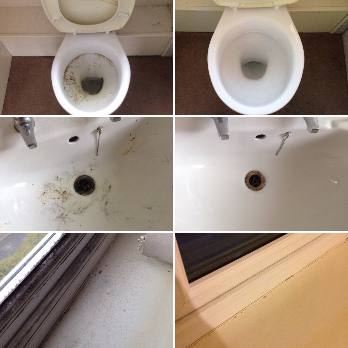 HouseHelpersUK's tweet photo. It's Friday, the week is done and we've graced Sheffield with more clean houses! Have a fab weekend everyone! #sheffieldissuper #dirtytoilet #rubbergloves #weloveit https://t.co/QYIB20FoRr