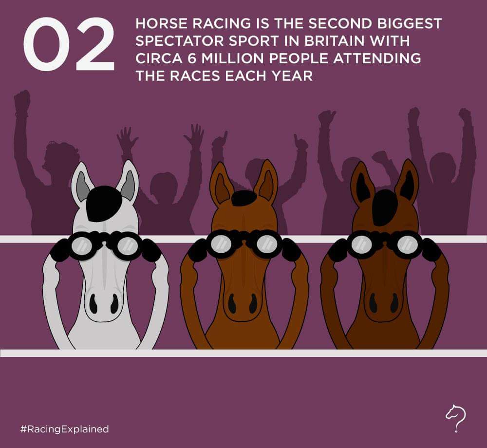 3furlongsout's tweet photo. Brilliance from @TheJockeyClub #racingexplained graphics are really good for #HorseRacing novices. https://t.co/5cw7rPGikt