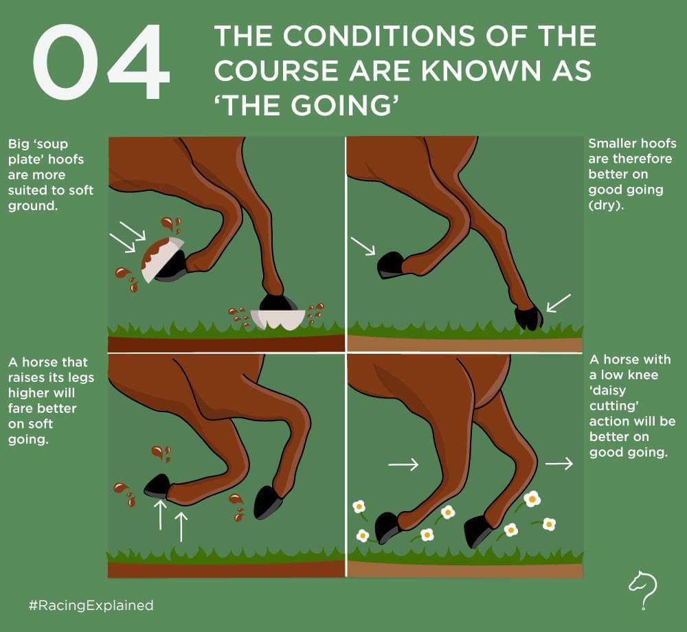 3furlongsout's tweet photo. Brilliance from @TheJockeyClub #racingexplained graphics are really good for #HorseRacing novices. https://t.co/5cw7rPGikt