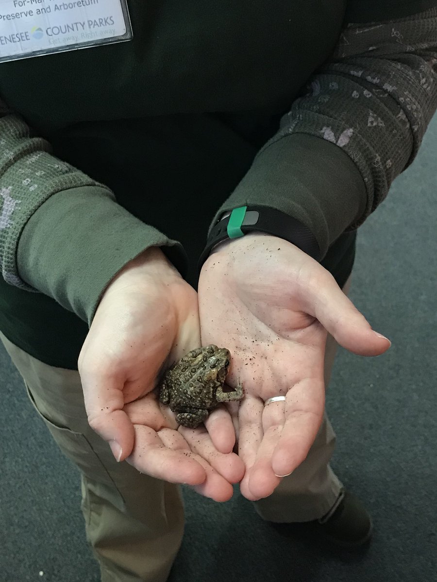 trent3rdgrade's tweet photo. Thank you For-Mar for a great day of learning about Michigan’s natural resources!! https://t.co/8QXh76a6DR