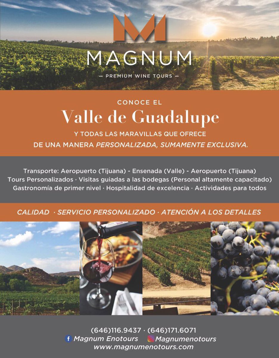 lauramarmolejo's tweet image. Quieres conocer el valle de Guadalupe? Magnum Enotours te brinda la mejor experiencia. #tomavinomexicano #rutadelvino #premiumexperiences 🍷🍾🥂