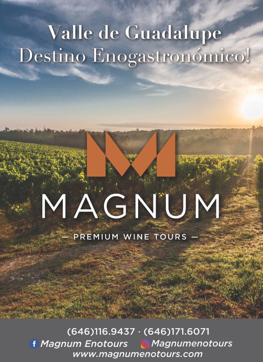lauramarmolejo's tweet image. Quieres conocer el valle de Guadalupe? Magnum Enotours te brinda la mejor experiencia. #tomavinomexicano #rutadelvino #premiumexperiences 🍷🍾🥂