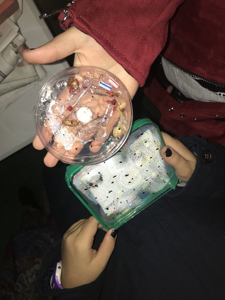 jmquin's tweet photo. #SECyT17 células vegetal y animal !! #educativototal #seunpro https://t.co/ts7YA3FfDy