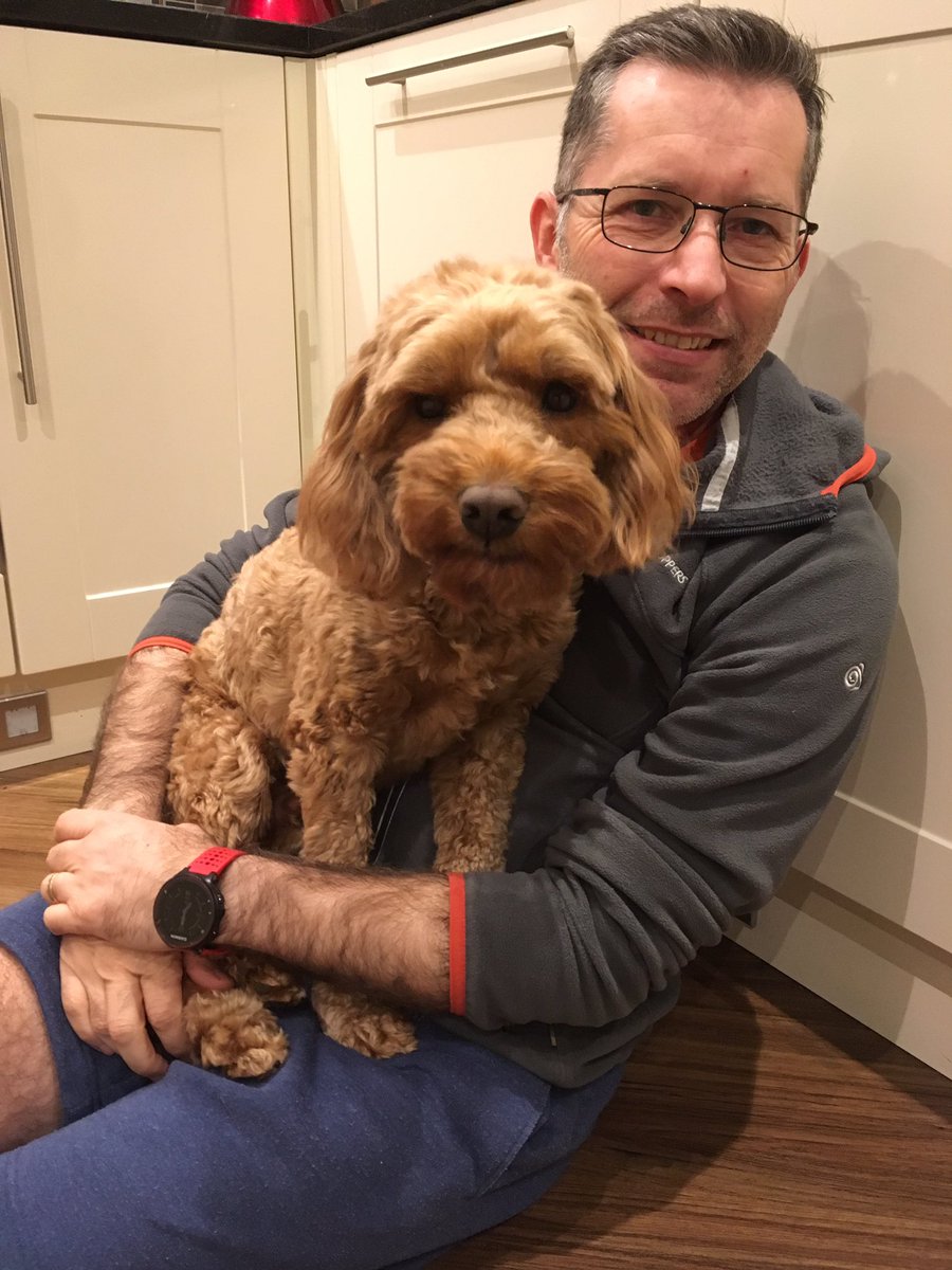 BrianCockapoo tweet picture