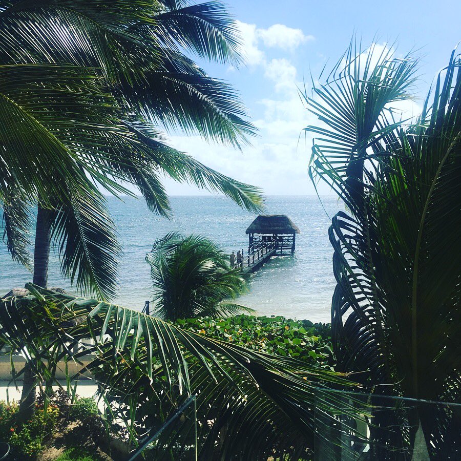 amandahite's tweet photo. Happy. In #Mexico for Cassandra & Lila's wedding (which @julie_rodgers is officiating βΊοΈ) #FindingCorey https://t.co/waStCB0FfM