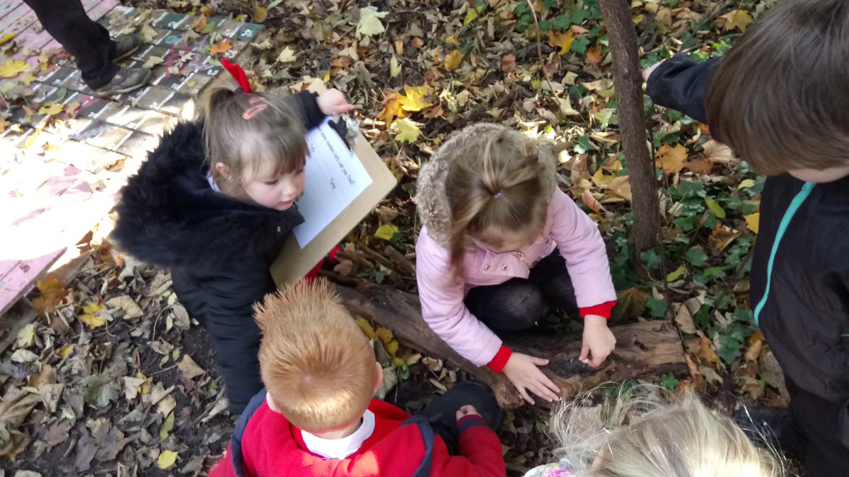 MonksAbbeyFS2's tweet photo. Today we were on the lookout for monkey nuts left behind by the squirrels... #monksabbeycounts https://t.co/hnTXrRPIhQ