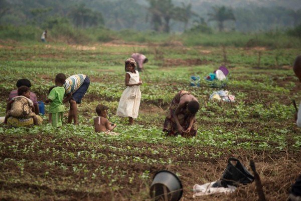 agrifoodaid's tweet photo. Four things you should know about #foodsecurity in #Africa. https://t.co/mjGRFmhIog #Smallholder #farmers #Agriculture https://t.co/wSuO6gq6O0