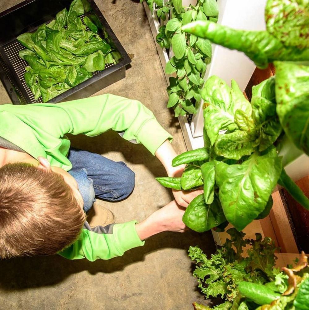 .<a href="/ModernSteader/">Modern Steader</a> promotes #healthyeating thru hands-on learning! instagram.com/p/BDJyt6SrHzv/… #teach #education #ZipGrow