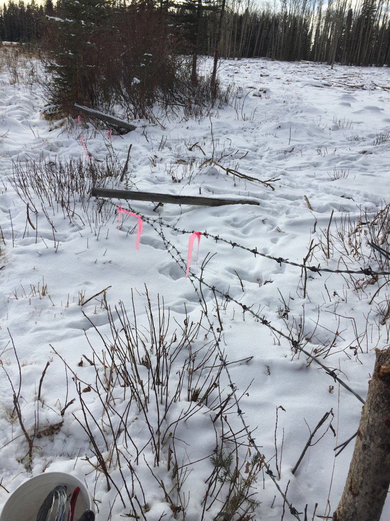 Billy Richards tweet media