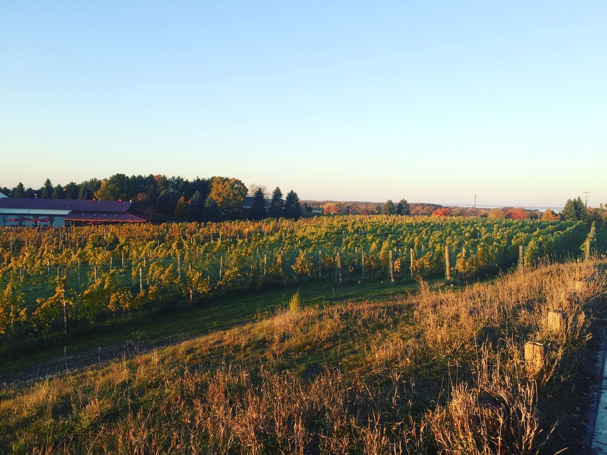 OldMissionTours's tweet photo. Stop. Take a photo. Soak this up. #puremichigan #fallcolors #oldmissionpeninsula #tcmi #wine #winetour #winery https://t.co/bTWpg4iKOx