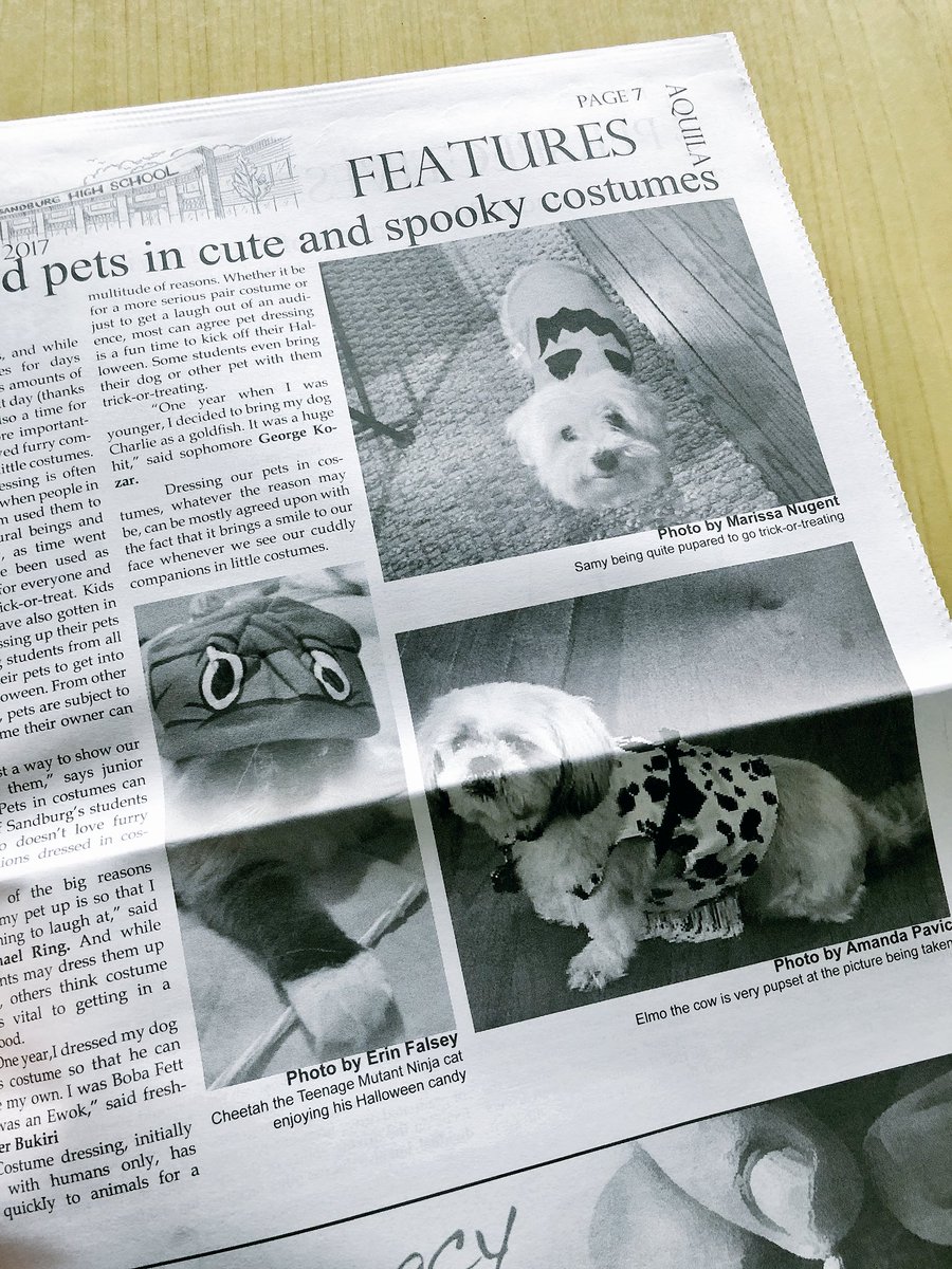 SandburgAquila's tweet photo. QUESTION: Who likes adorable pets in costumes?!
ANSWER: EVERYONE. 

See some on p. 7 of the latest issue. https://t.co/7HWTQYrkoR