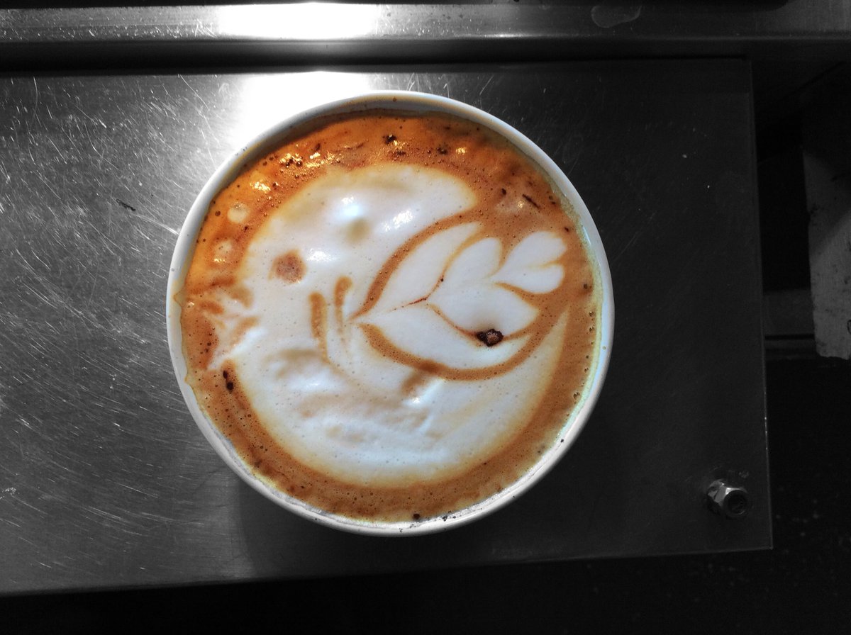 TwigsCafeLLC's tweet photo. Lattes are flying out of the cafe today! #espresso #latteart #cafe #SmallBiz  #BaristaLife https://t.co/KOGA0VRJTI