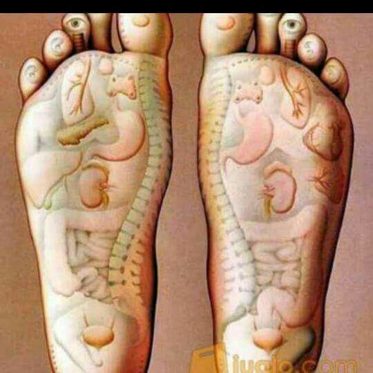 DedyJun22916220's tweet photo. @pijat_pria_gay Pijat Terima massage /pijat
Pangilan atu ditempat 
Wa.085716009611pin Da716523 jkrta https://t.co/VrfHETAR2i
