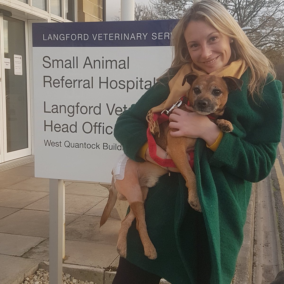 celena_wolfe's tweet photo. Thank you @LangfordVets Merrylegs is home safely! You guys are amazing xxx #vets #Dog #mansbestfriend #Healing #ThankYou https://t.co/85qcEi1pm4