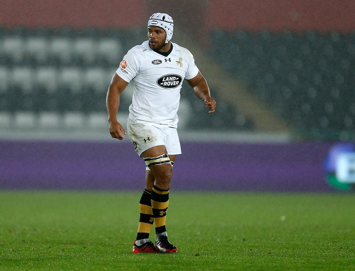 Wasps Rugby tweet media