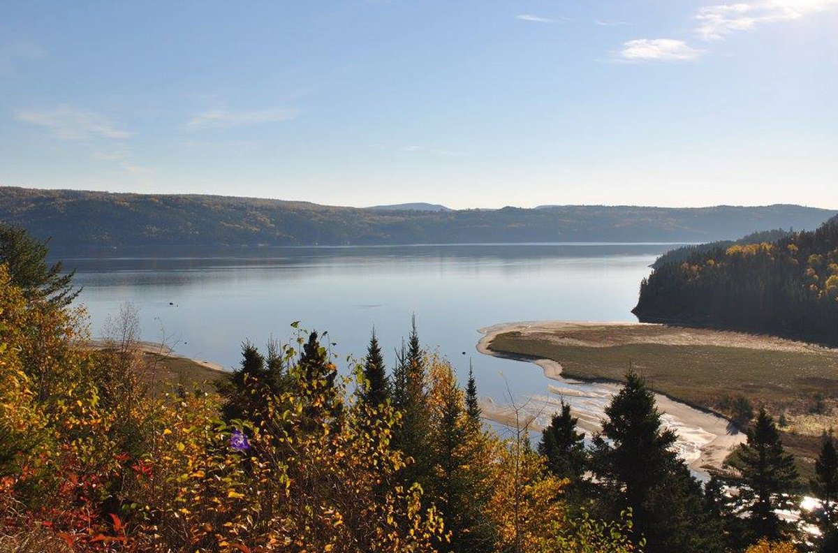 How is the #StLawrence doing? To find out, read our Overview of the State of the St. Lawrence. #WorldScienceDay ow.ly/Ye3l30gv7YA