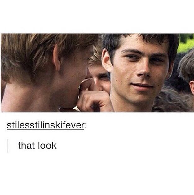 NutellaPartner's tweet image. BUSCO PARA HACER NEWTMAS

DM INTERESADOS

RT PARA DIFUNDIR?