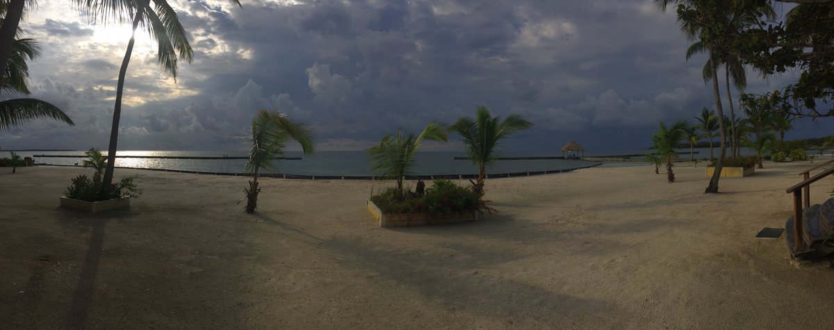 JeffAScheetz's tweet photo. @belizevacation What a magical place! #StayCuriousSweeps https://t.co/gdIb8BZPYf