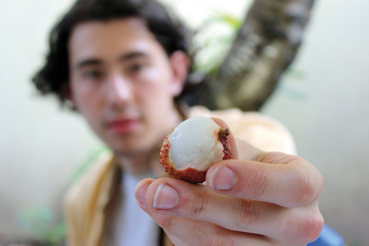 Univ. of Puget Sound tweet media