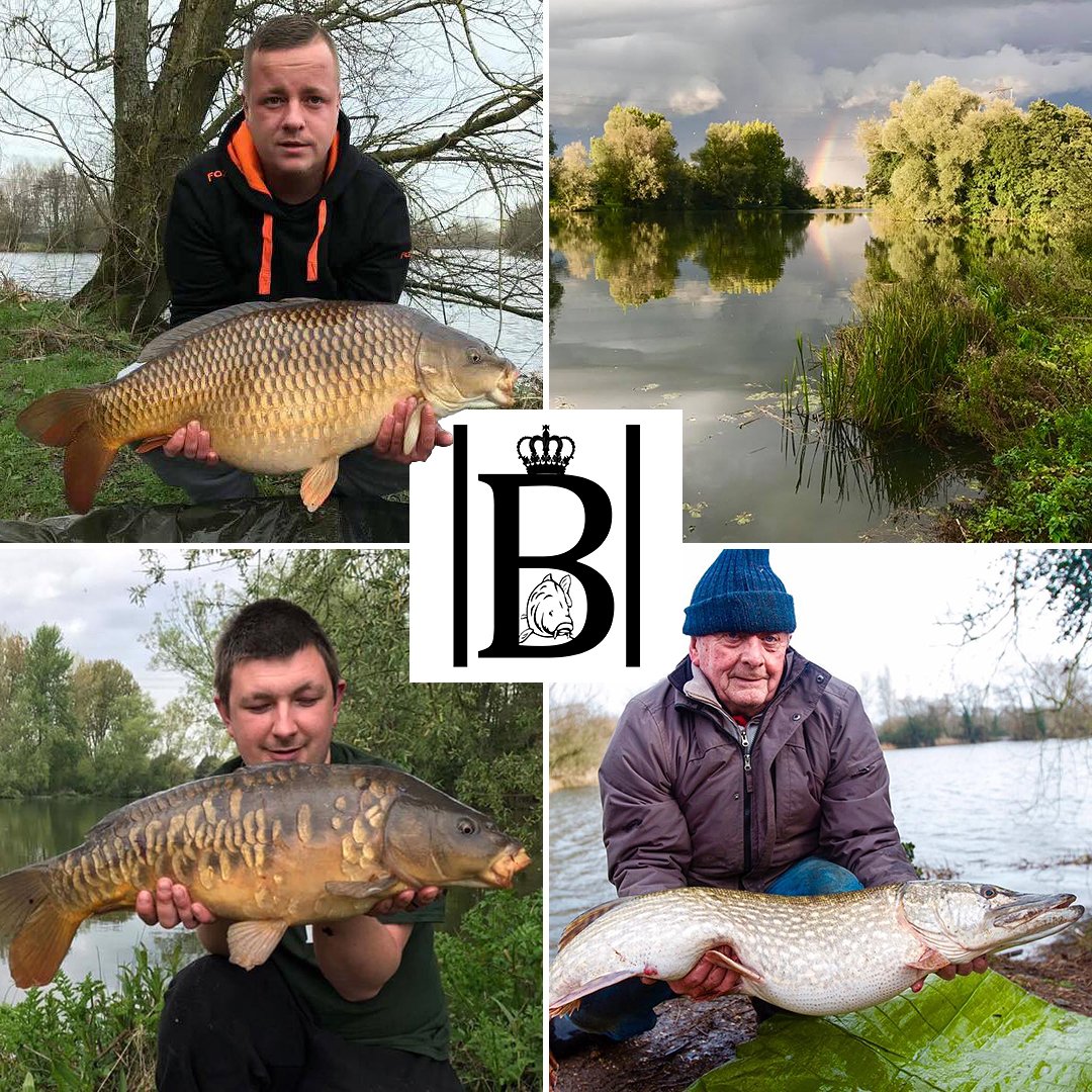 tightlinesgame's tweet photo. The beautiful Broadlands Lakes Fishery has joined our board game's #FishtheWorld app community. The game and digital set of Broadlands fish cards #inyournet2018. Read more at https://t.co/CcXgwv0Ca9 #tightlinesboardgame @BROADLANDS_LAKE https://t.co/BZ5Vh1mZJY