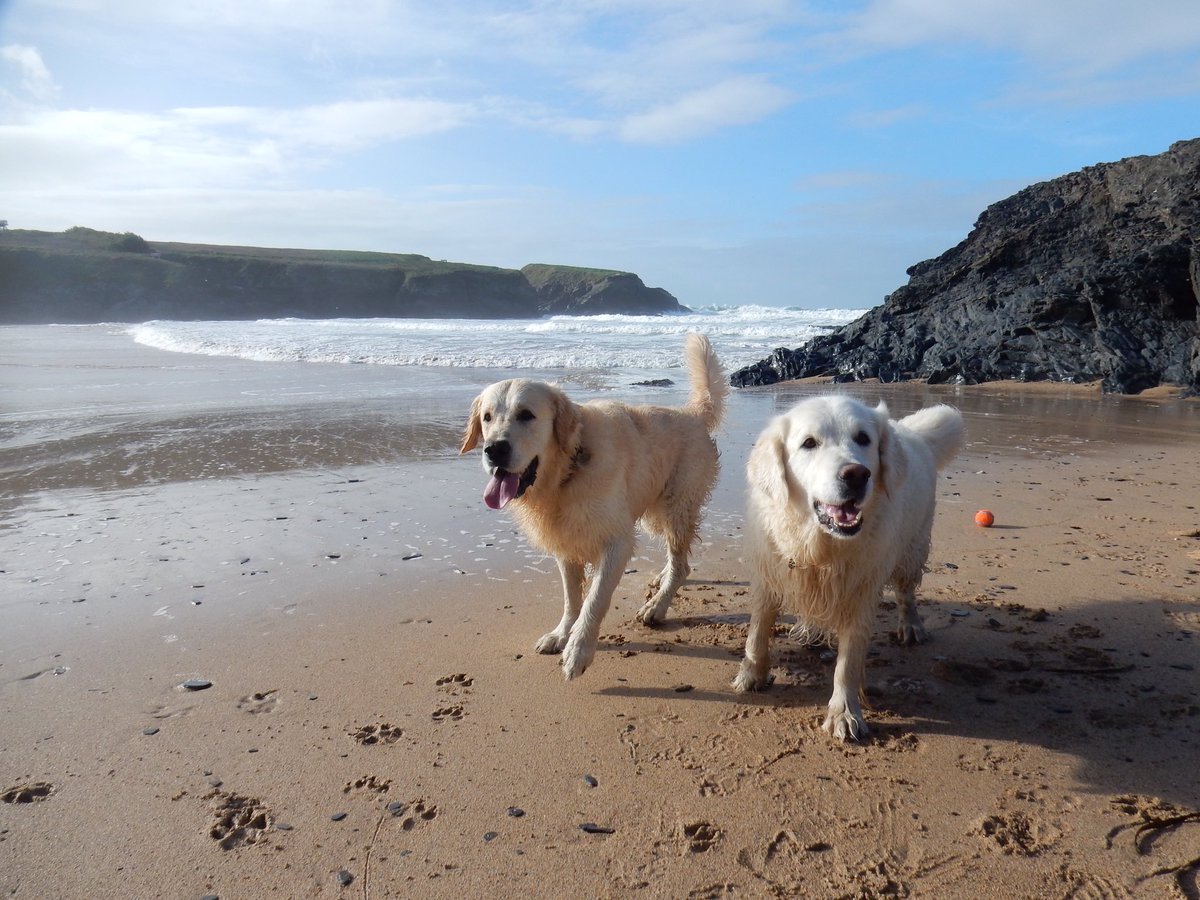BennyBoygr's tweet photo. Saying goodbye to Cornwall this morning with a visit to TWO beaches. Sad to go, it's been a gem of a week 💕 https://t.co/ZI5lzrMKW4