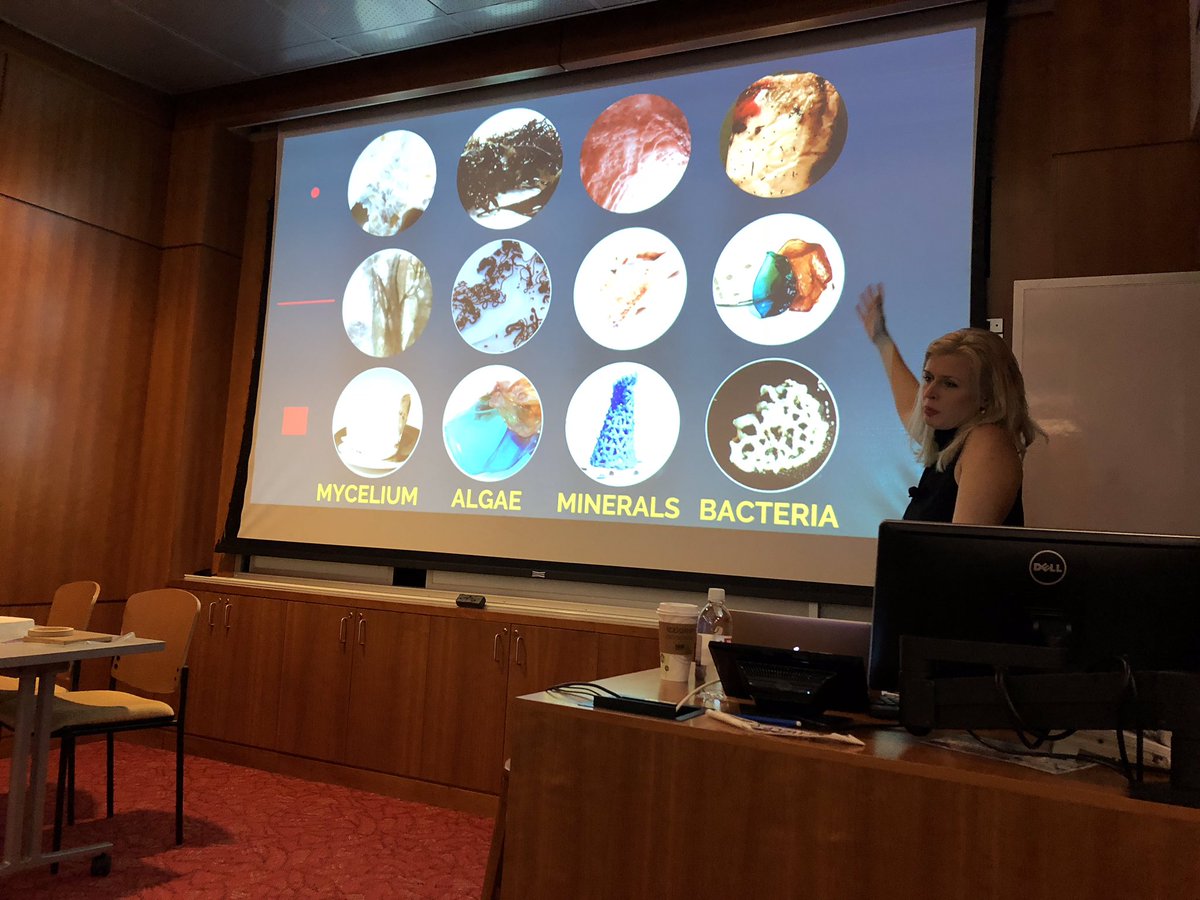 Thanks <a href="/ncsulibraries/">NC State University Libraries</a> <a href="/adrogersam/">Adam Rogers</a> <a href="/hlrainey/">Han Nah</a> for your support for woman in STEM and for letting me share my multiscale story.