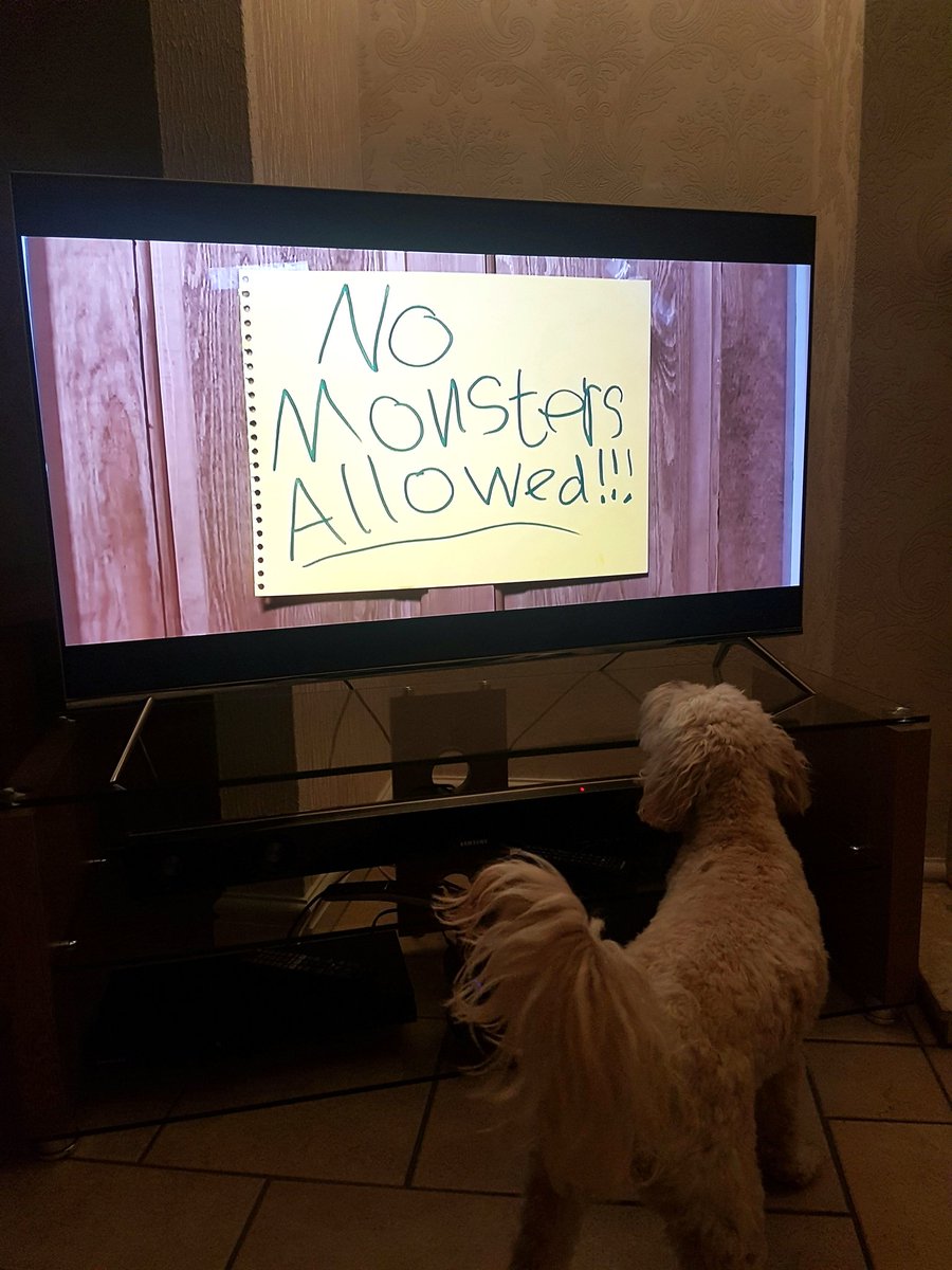 Rosieroids81's tweet photo. Rosie bear loving the new #johnlewischristmasadvert @johnlewisretail @III_VIII_I https://t.co/5p4NSAK4dV