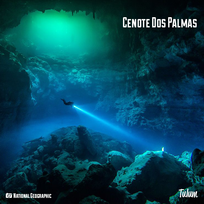 TulumTulum's tweet photo. Que parecería sumergirte en el bello Cenote Dos Palmas en #Tulum. Si ya lo visitaste, compártenos tus fotos. https://t.co/TkcMMxaaNd