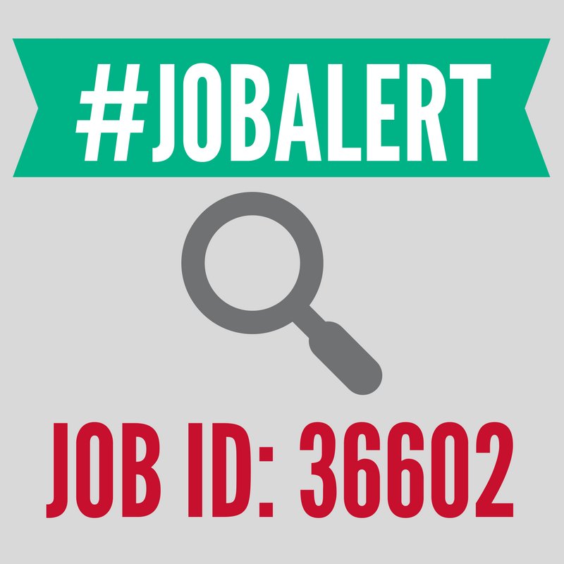 HireBauer's tweet photo. #RCCJobAlert What's that - @hm is hiring MS and MBA students?! Be sure to look up this Leadership Trainee position in Bauer Gateway! #HireBauer #UHBauer #HM https://t.co/lET1tXWAyf