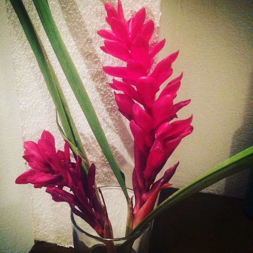 theYogaFish's tweet photo. Heart happy 🌱 https://t.co/eQkBjRWc85 https://t.co/xXFPHi5gO6