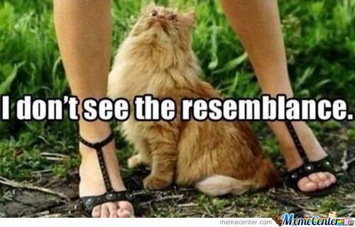 MC Straight Ally tweet media