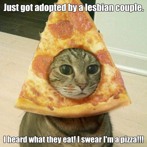 MC Straight Ally tweet media