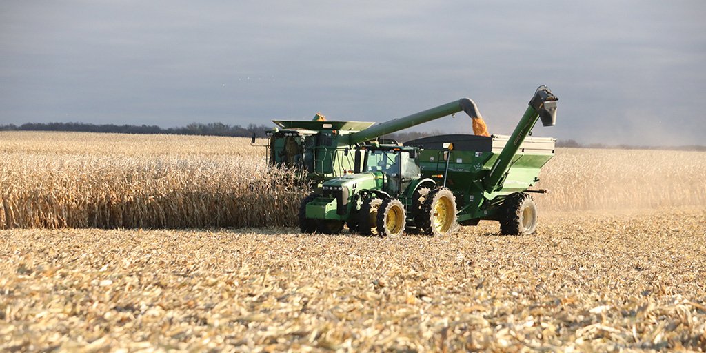 golden harvest farms, golden harvest farms,