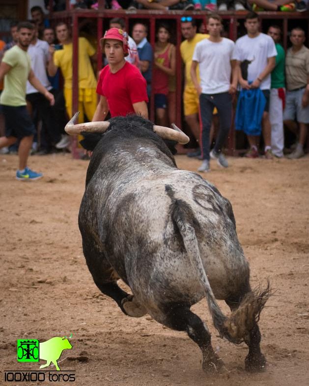 Esto no es un simulacro, esta herida nos puede matar.