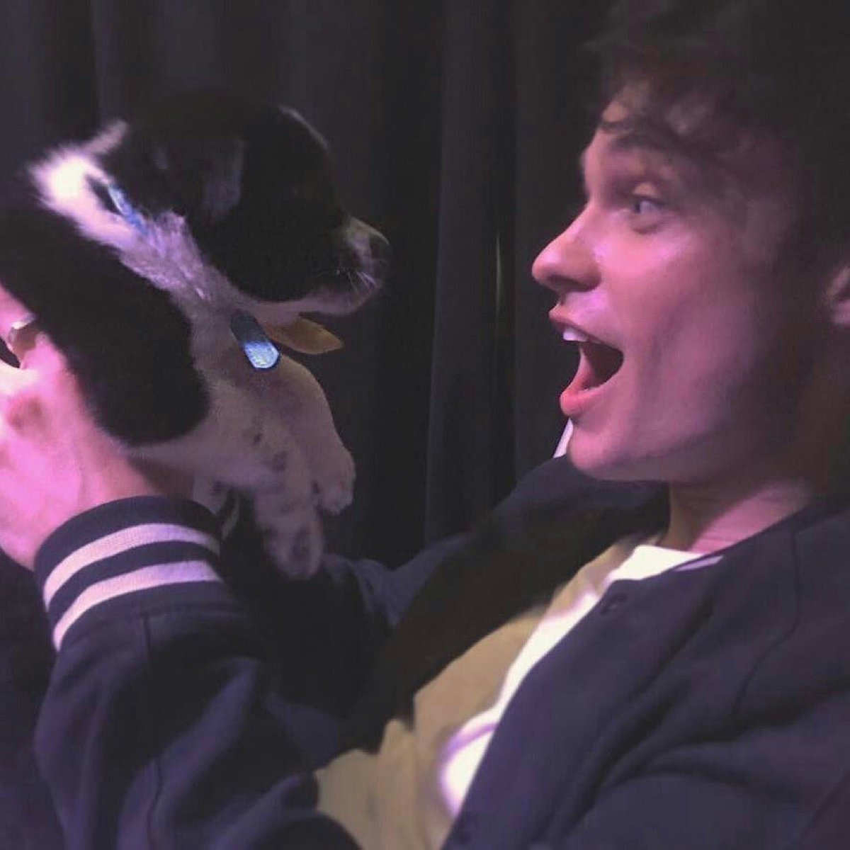 xThomasDohertyx's tweet photo. Aww que cosa más linda, ¡Quiero perritos! ¡Quiero perritos! ¡QUIERO PERRITOS! . . . https://t.co/llI8YVByrq