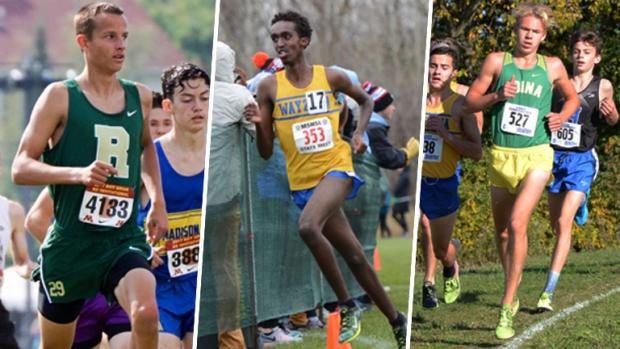 nxn heartland