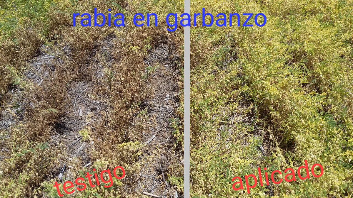 Lab de Fito UCC tweet media