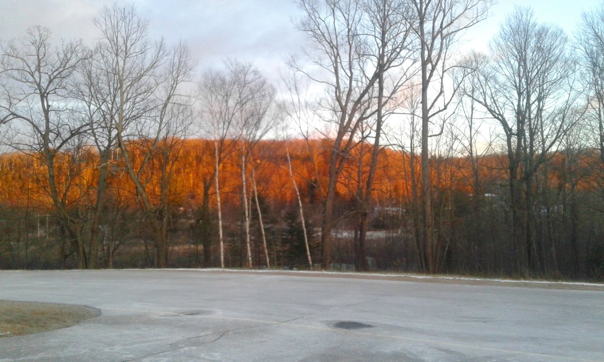 HOKAGEWOLF's tweet photo. / it a frosty ass bitch up here lol but at least it's pretty https://t.co/Y4WiNxzRwy
