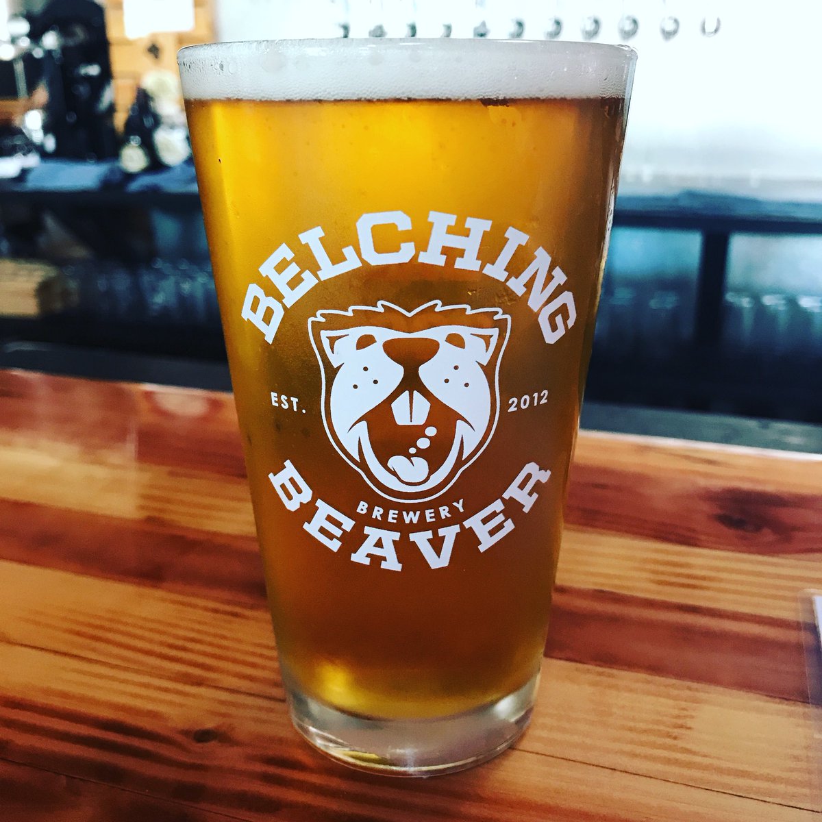 belchingbeaver's tweet photo. Cheers to Friday! We made I️t! #damgoodtimes #sdbeer https://t.co/Y0DWIAwUe2